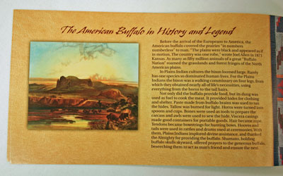 American Buffalo Coin and Currency Set Booklet page 3