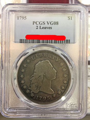 1795 Flowing Hair Silver Dollar Coin - Two Leaves PCGS VG08 obverse