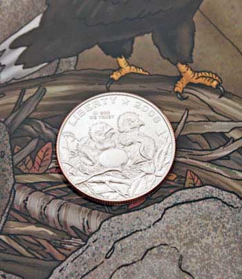 2008 Bald Eagle Young Collectors coin sets clad half dollar obverse