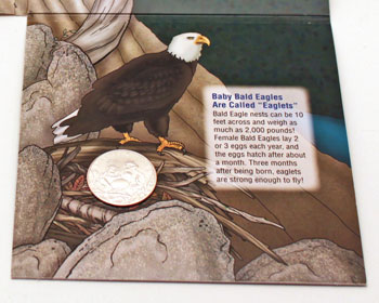 2008 Bald Eagle Young Collectors coin sets package contents inside bottom