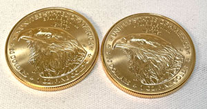 2022 American Gold Eagle one ounce coins reverse