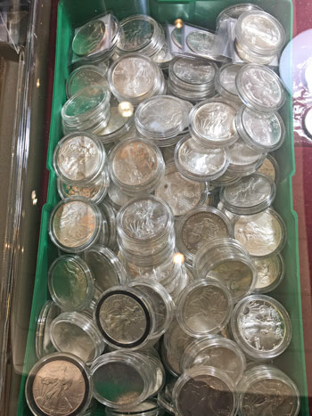 display of many american silver eagle coins